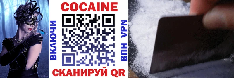 купить наркоту  Новоржев  сайты даркнета какой сайт  Cocaine FishScale 