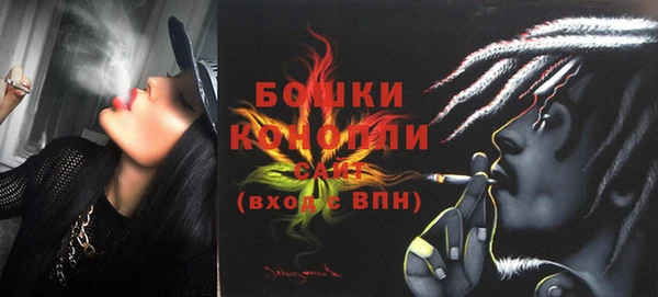 дживик Бородино