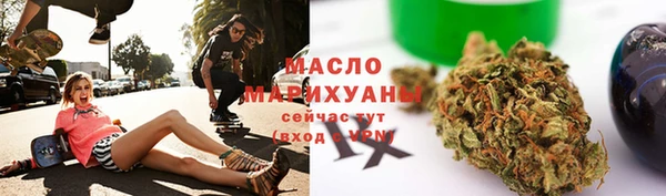дживик Бородино
