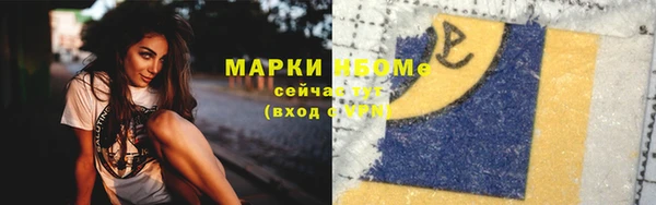 дживик Бородино