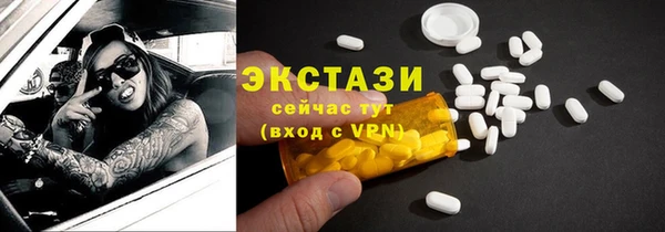 дживик Бородино