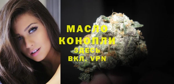 дживик Бородино