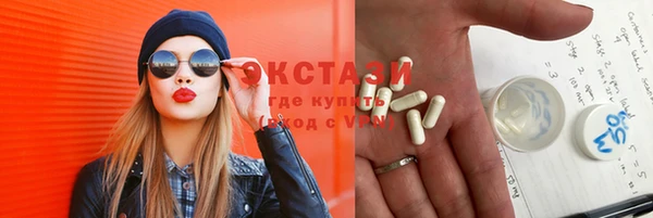 дживик Бородино