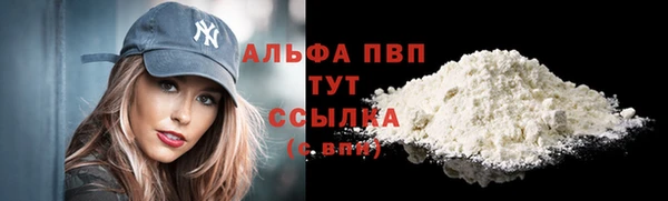 дживик Бородино