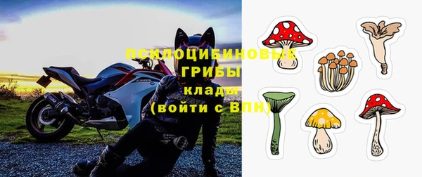 дживик Бородино