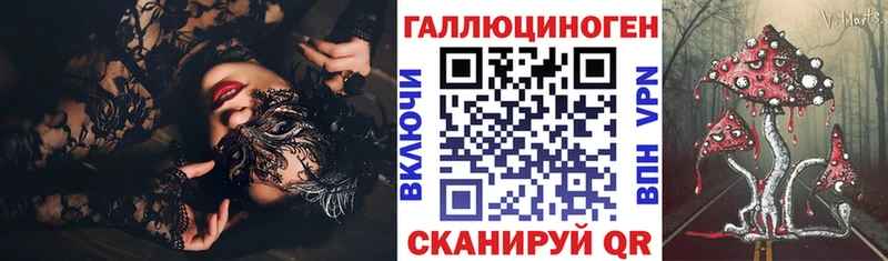 Псилоцибиновые грибы Psilocybine cubensis  наркотики  мориарти формула  Новоржев 